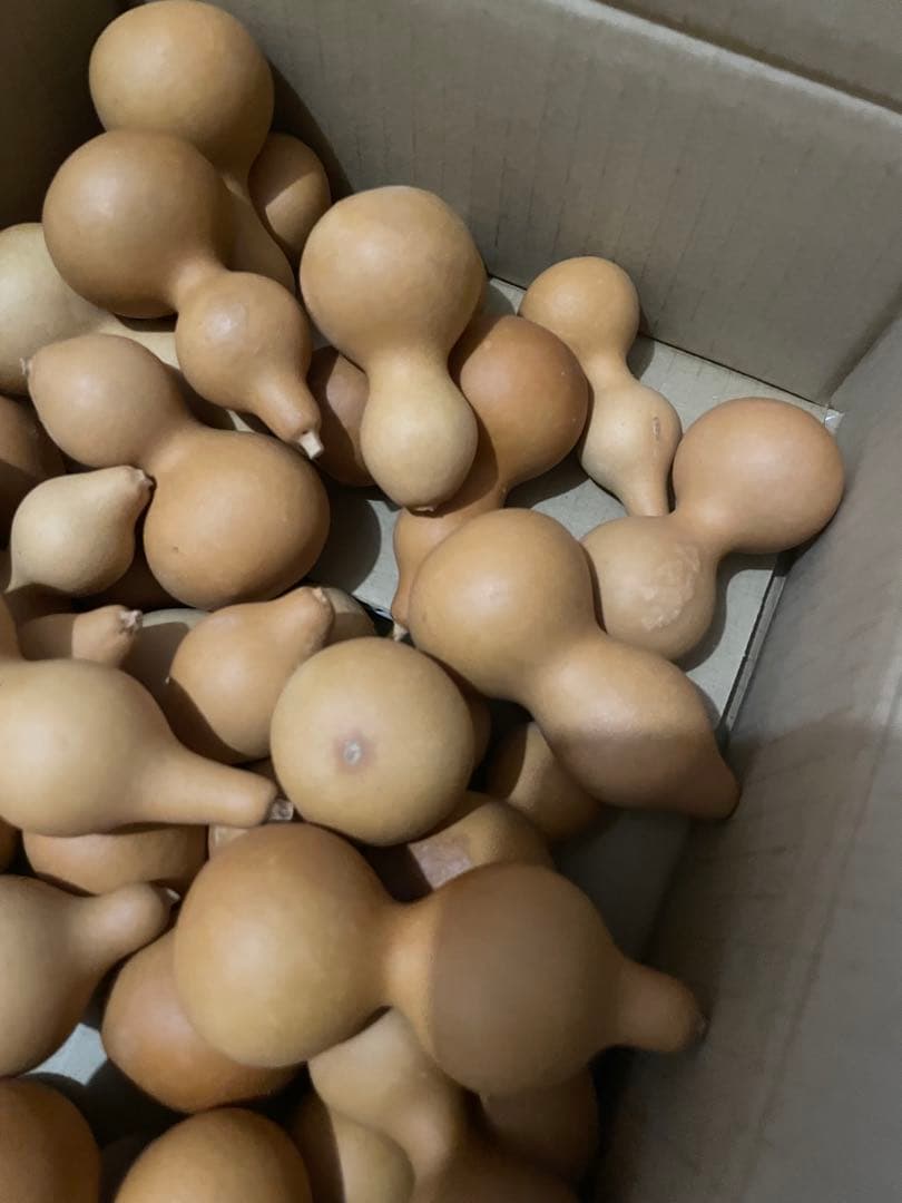 32個】ひょうたん 瓢箪 千成瓢箪 まとめ売り 無病息災 置物 縁起物(F