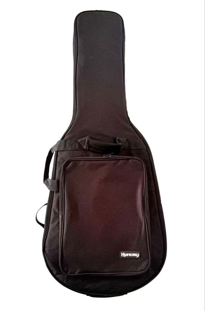 HISTORY CV-SV エレキギター ヒストリー