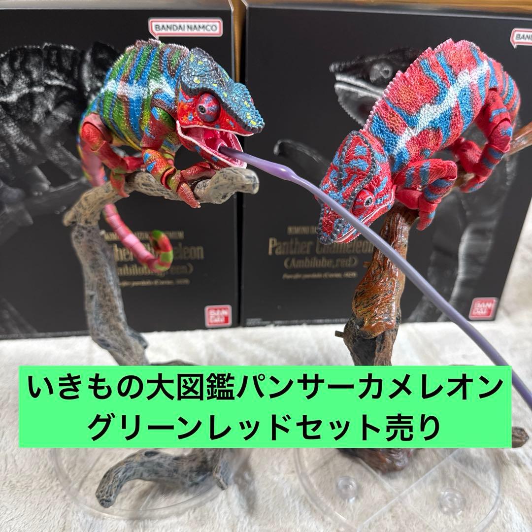 いきもの大図鑑プレミアム パンサーカメレオン グリーン レッド - メルカリ