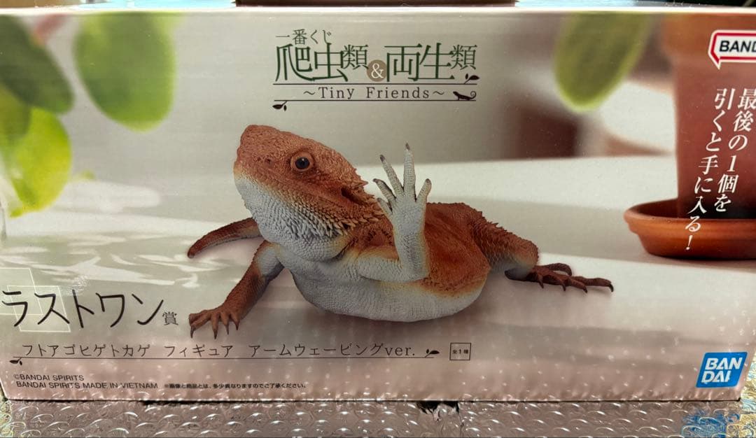 一番くじ 爬虫類&両生類 ラストワン賞 B賞 セット - メルカリ