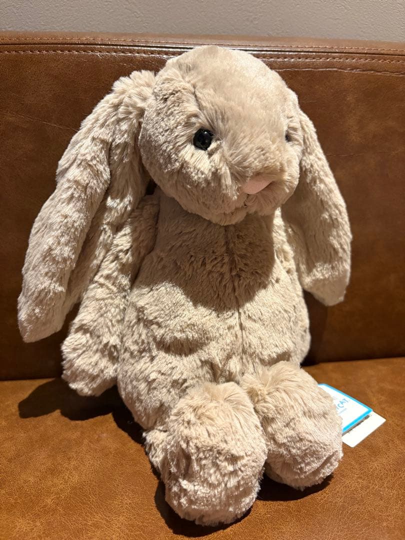 パンダ先輩 ジェリーキャットBashful Bunny  Suit