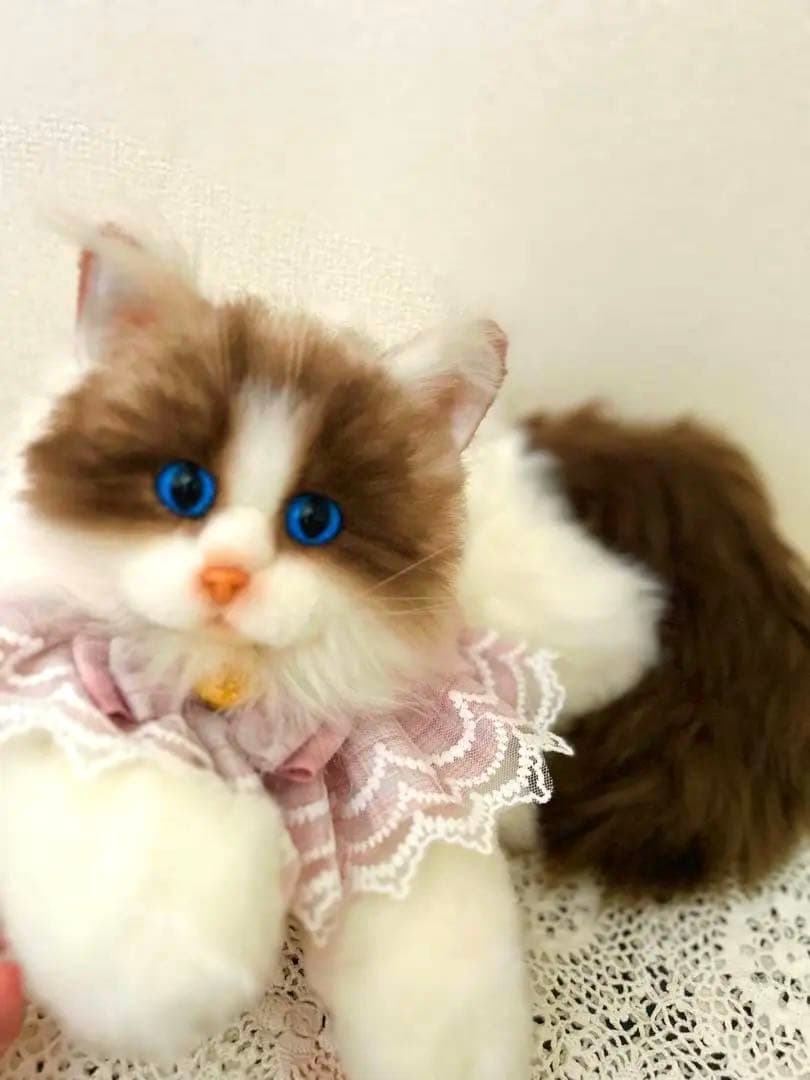 ラグドール＊(⁠.⁠ ⁠❛⁠ ⁠ᴗ⁠ ⁠❛⁠.⁠) アートドール