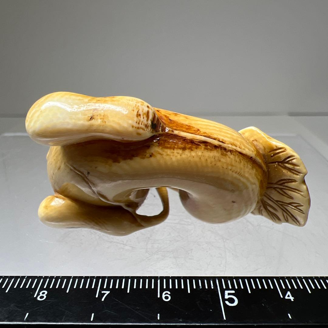 寛在銘 極上ヘチマ根付 30g 東Y8-0114☆2F