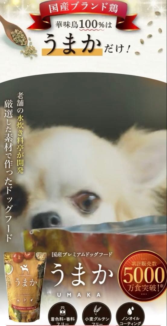 うまか プレミアムドライフード 1.5kg 華味鳥 UMAKA - メルカリ