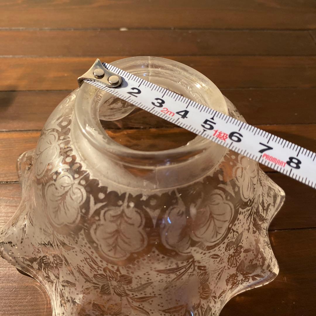 英国アンティーク ビクトリアン 美しい ボタニカル 酸エッチング