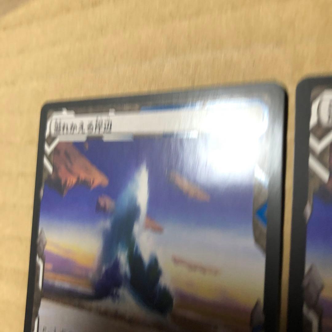 MTG　溢れかえる岸辺　エクスペディション　日本語　2枚セット