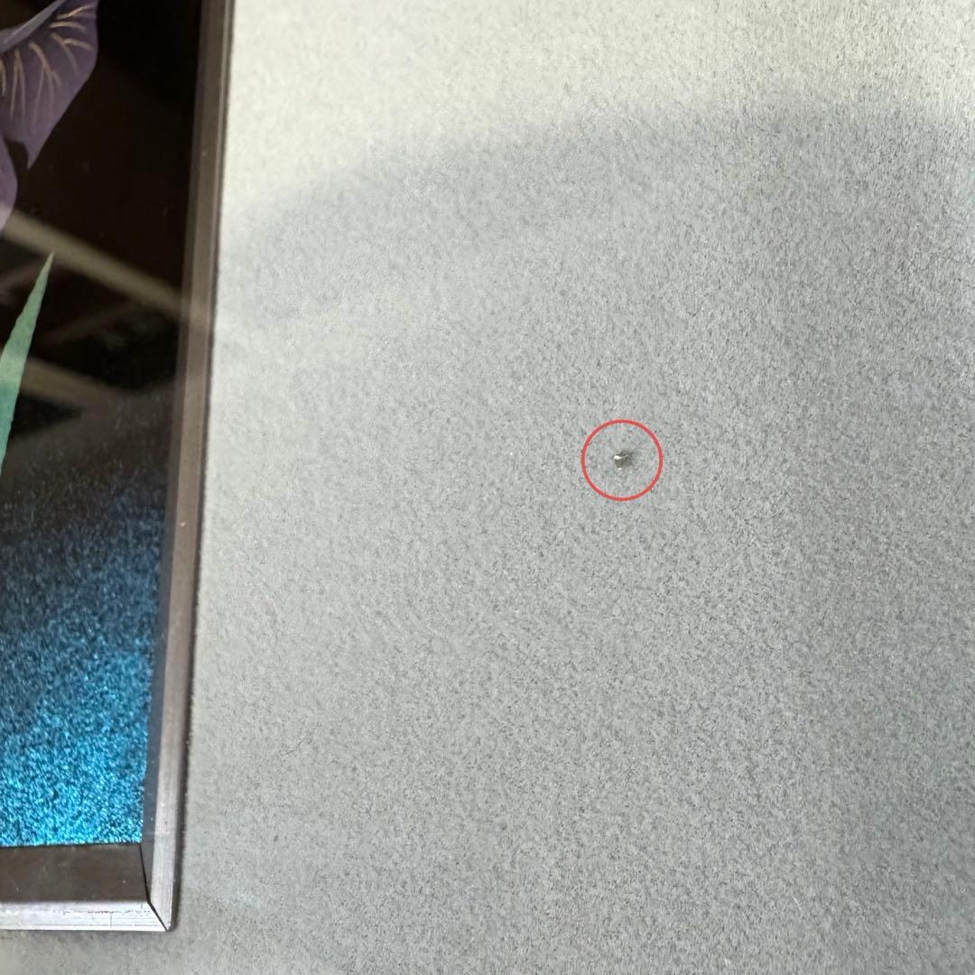 輪島塗 友田裕次 沈金 沈銀 あやめ 額装作品 絵画 額縁 共箱 説明書 漆