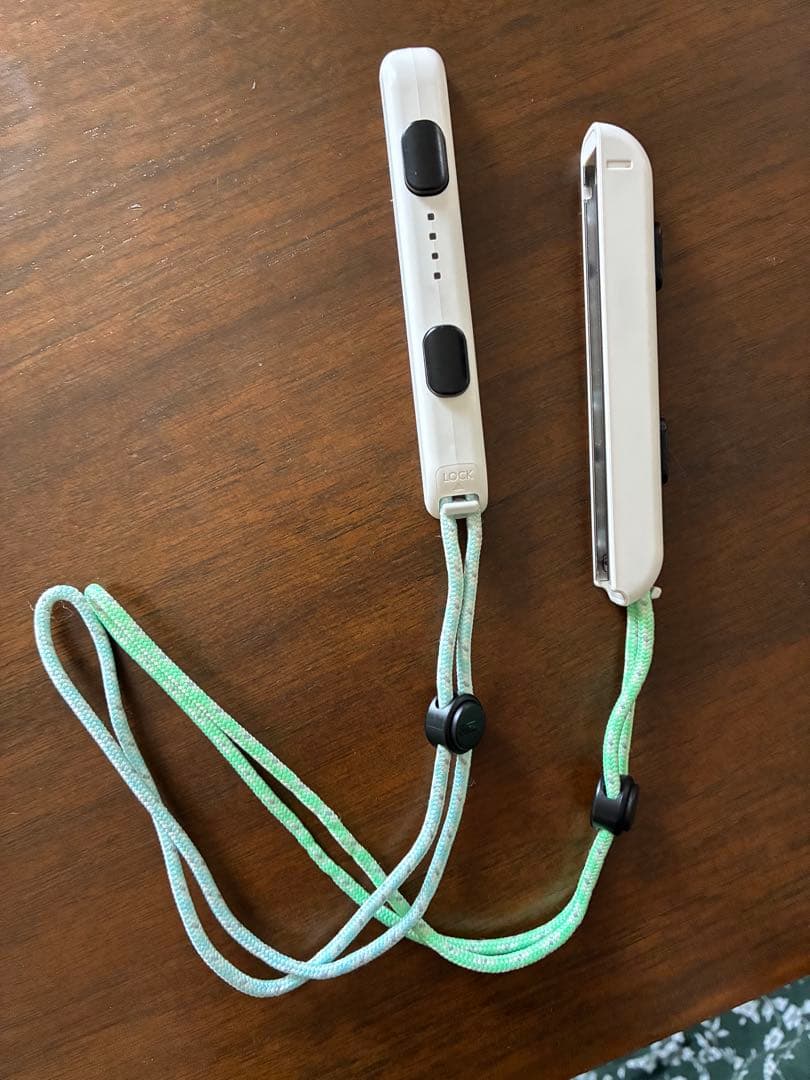 Nintendo Switch あつまれ どうぶつの森　ソフトなし