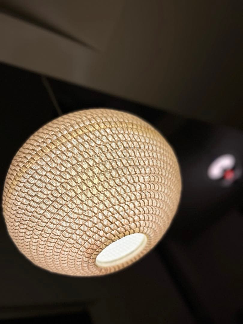 独60年代 Temde 漆塗り木材とファイバーグラス ヴィンテージ・ペンダント