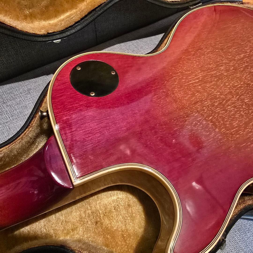 フジゲン製 Greco EG-500 super power custom