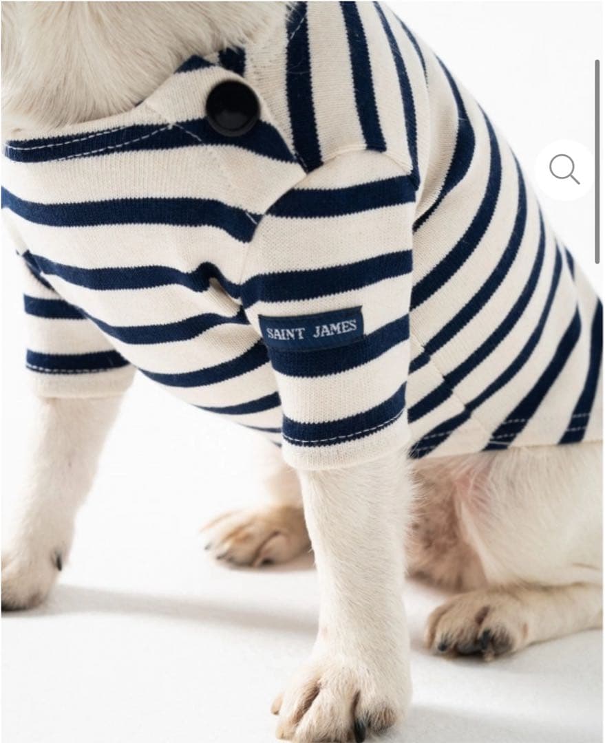 新品未使用／日本未入荷】セントジェームス 犬服 Lサイズ フランス