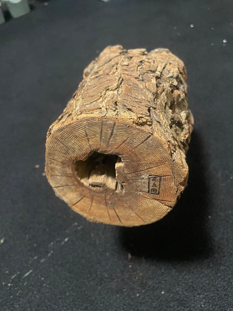 【激レア】　非売品　森兵衛　天然　シェルター