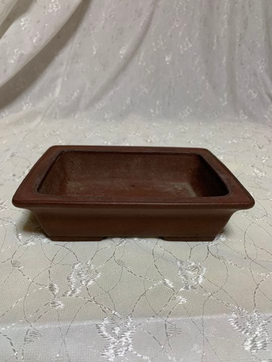 柴勝 長方 盆栽鉢