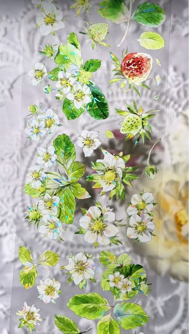 7657】海外マステ3/5/10m巻売り貝殻光マスキングテープいちご