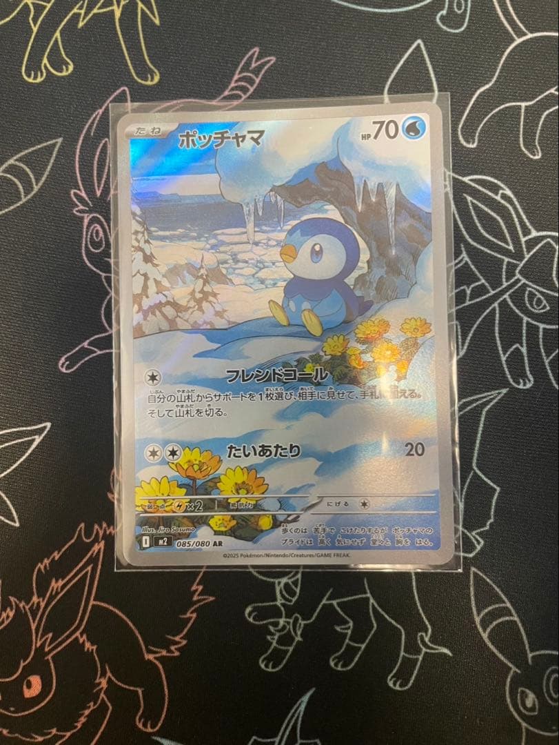 ポケモンカード インフェルノX メガリザードンex SAR （＋ポッチャマAR）