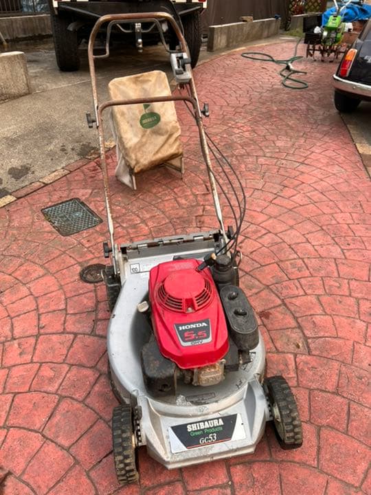 並河萬里 [薬師寺薬師如来] オリジナルプリント 限定 エディション