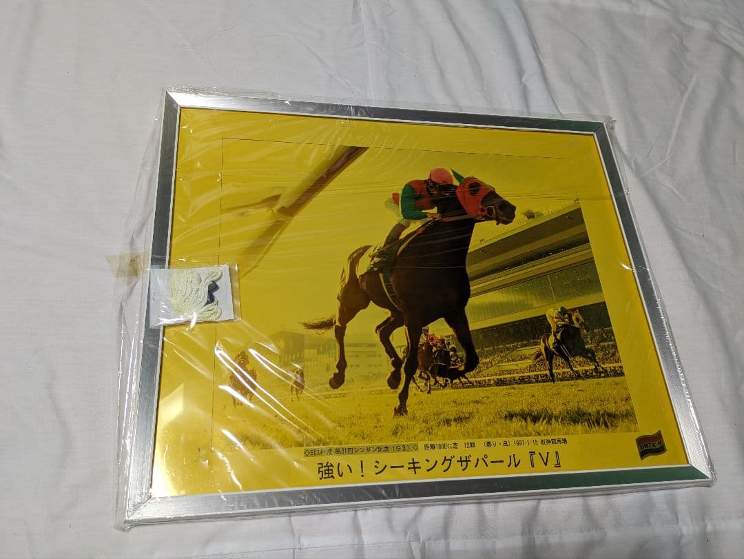 シーキングザパール 武豊 競走馬 写真パネル 額縁入り スポーツ新聞付き