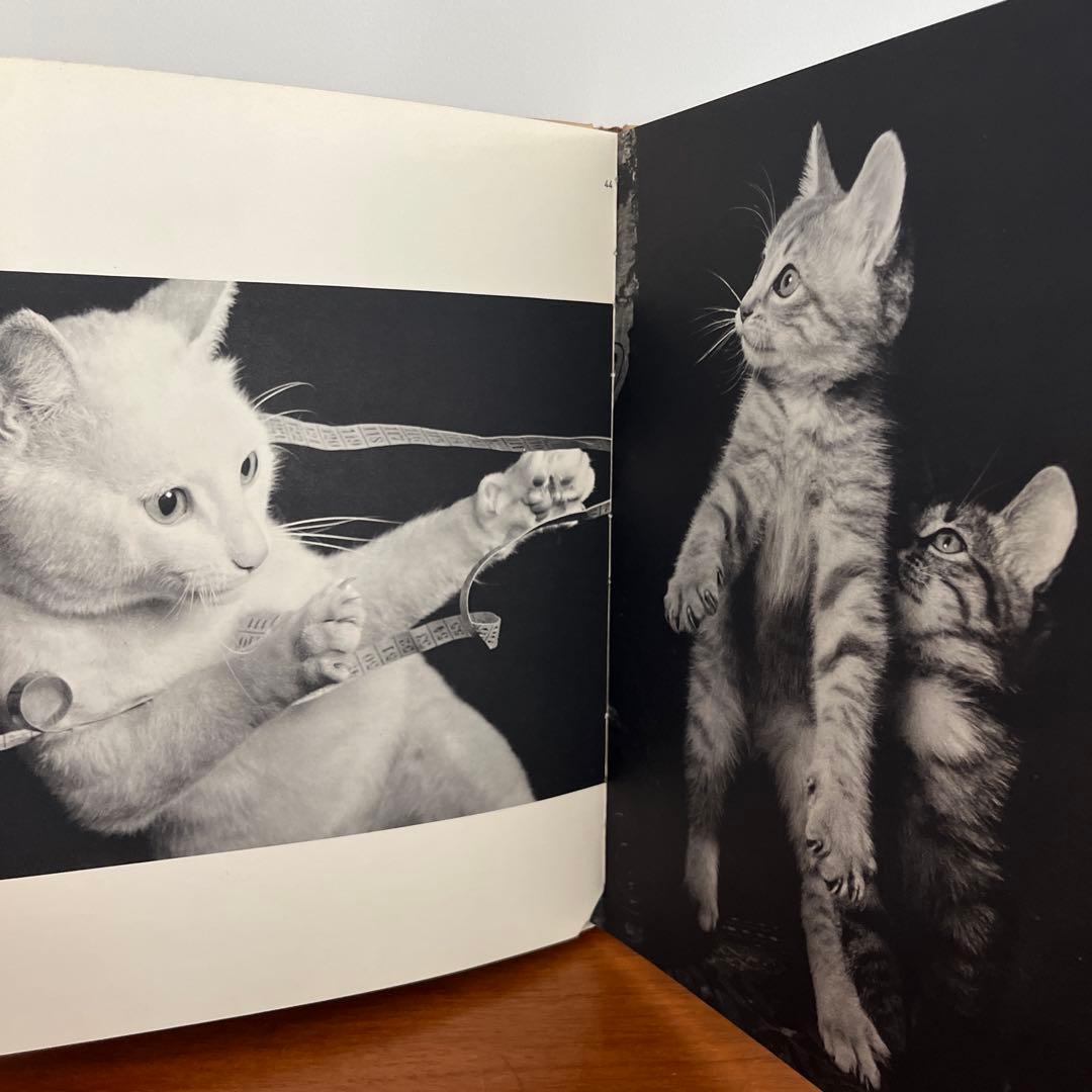 猫 写真集 CHATS HENRI SAAS フランスヴィンテージ