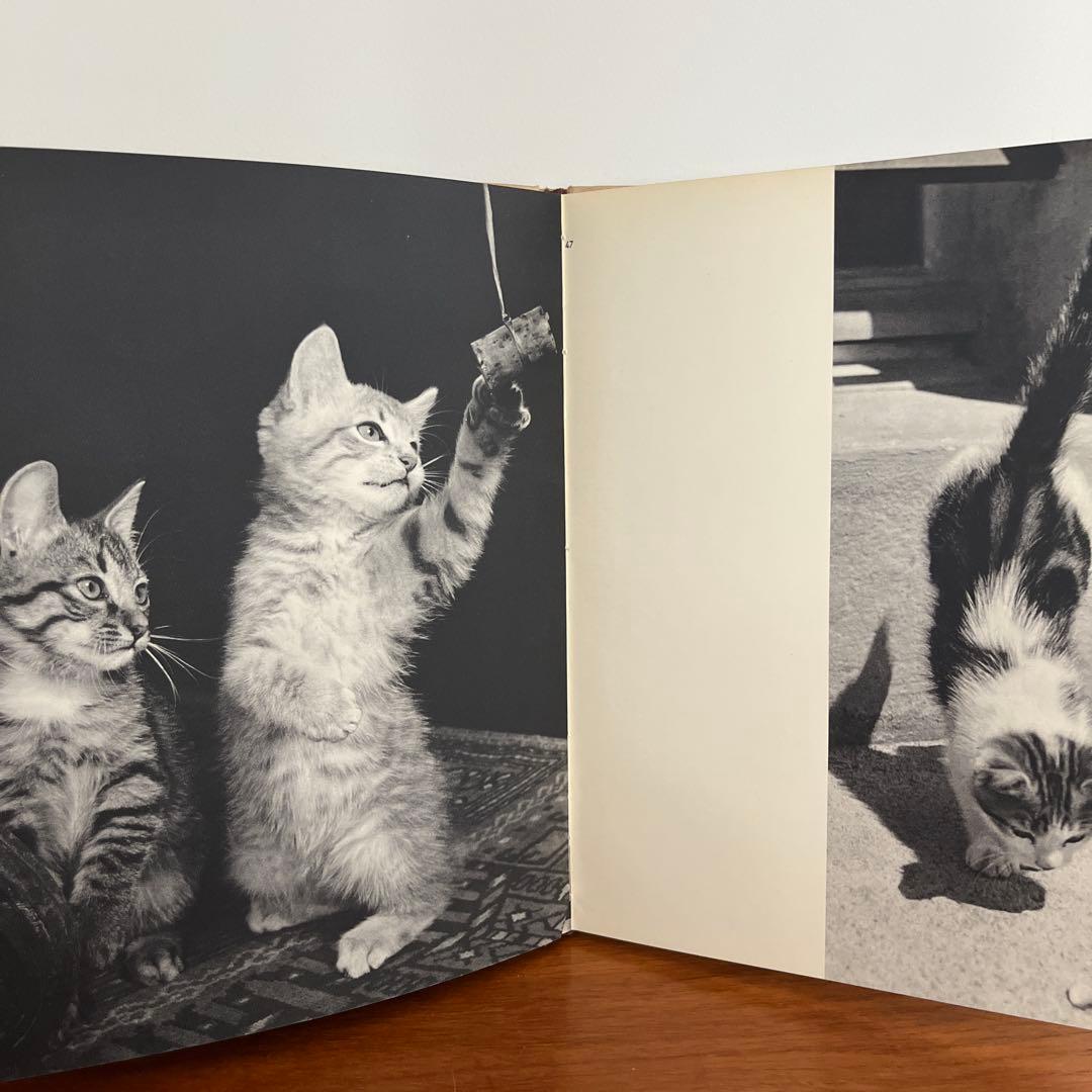猫の写真集 CHATS HENRI SAAS フランスヴィンテージ