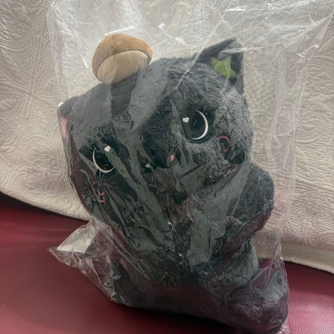 nct wish リク　riku キャラクターバック