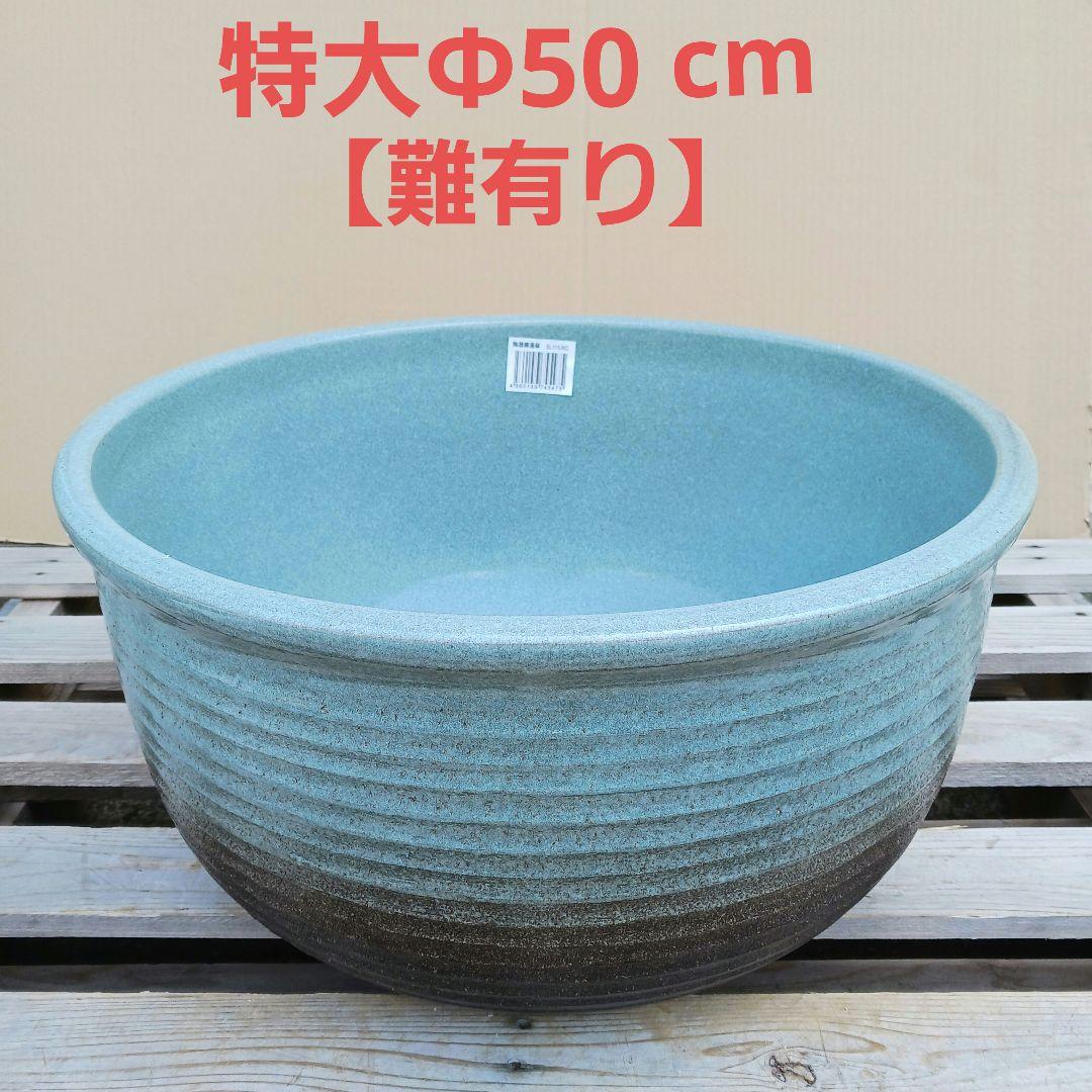 新品 特大50 陶器 睡蓮鉢 メダカ鉢 難有 ラリマーブルー スカイブルー