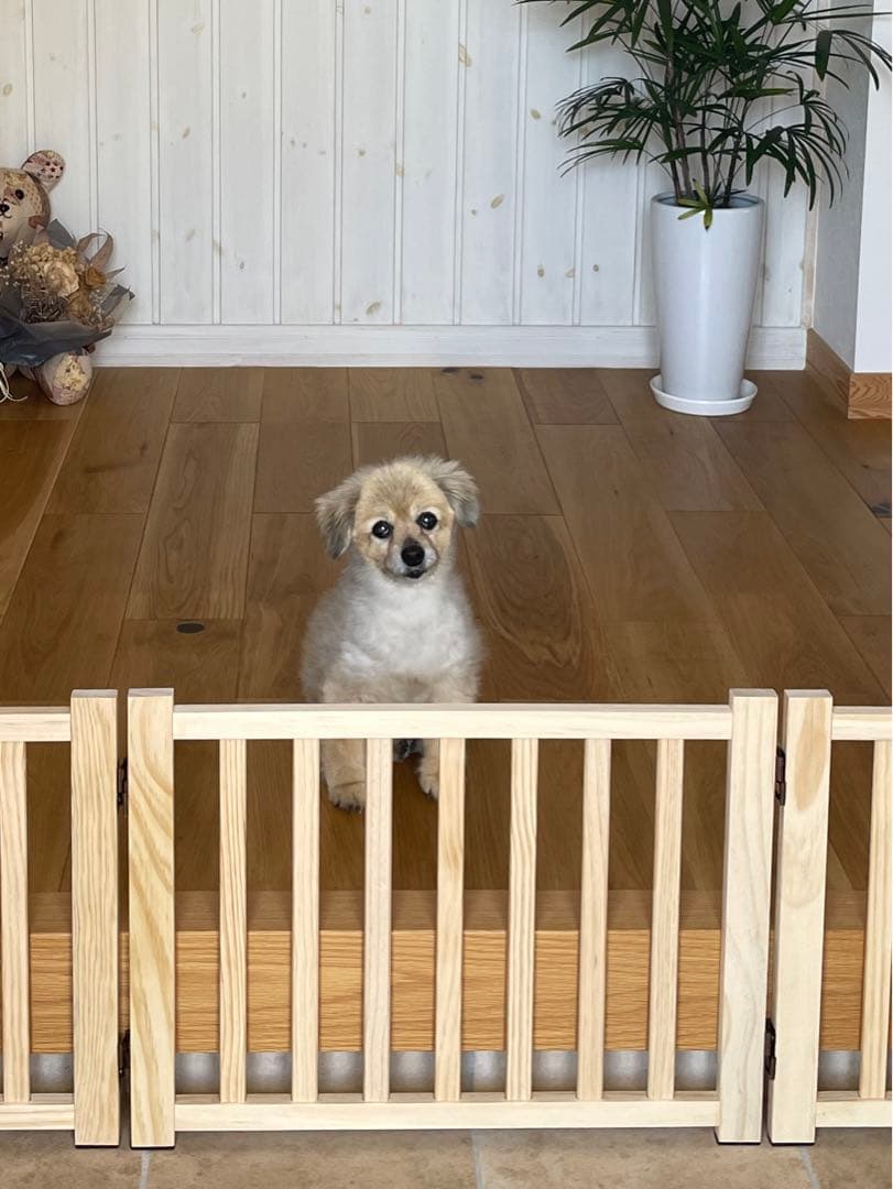 犬用 ペットフェンス 木製 高さ43㎝×長さ約350㎝ 自立