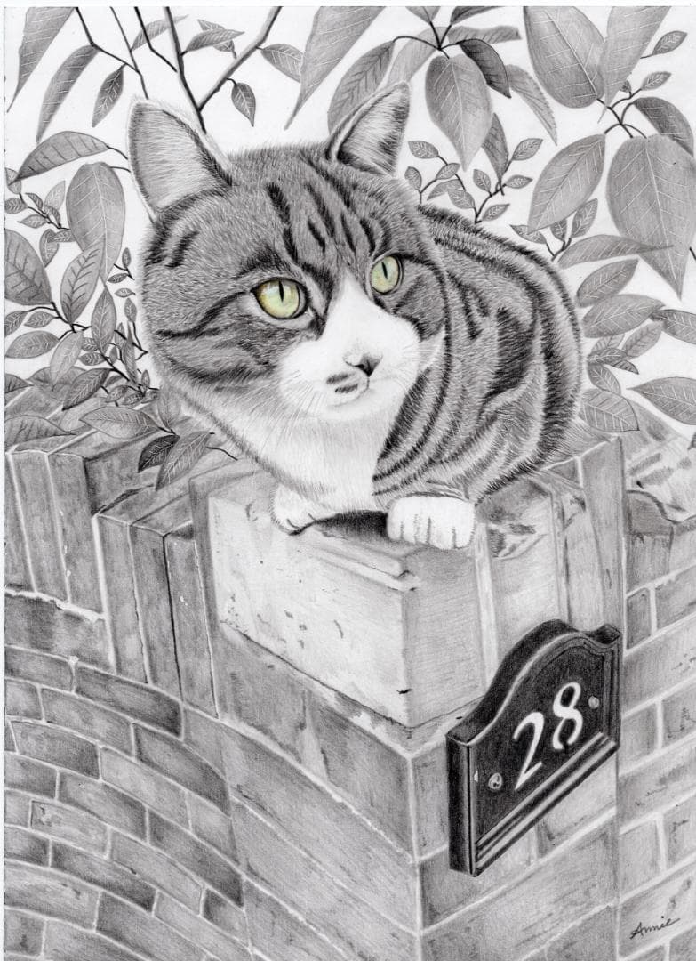 鉛筆画「A street arpista」 B5大サイズ