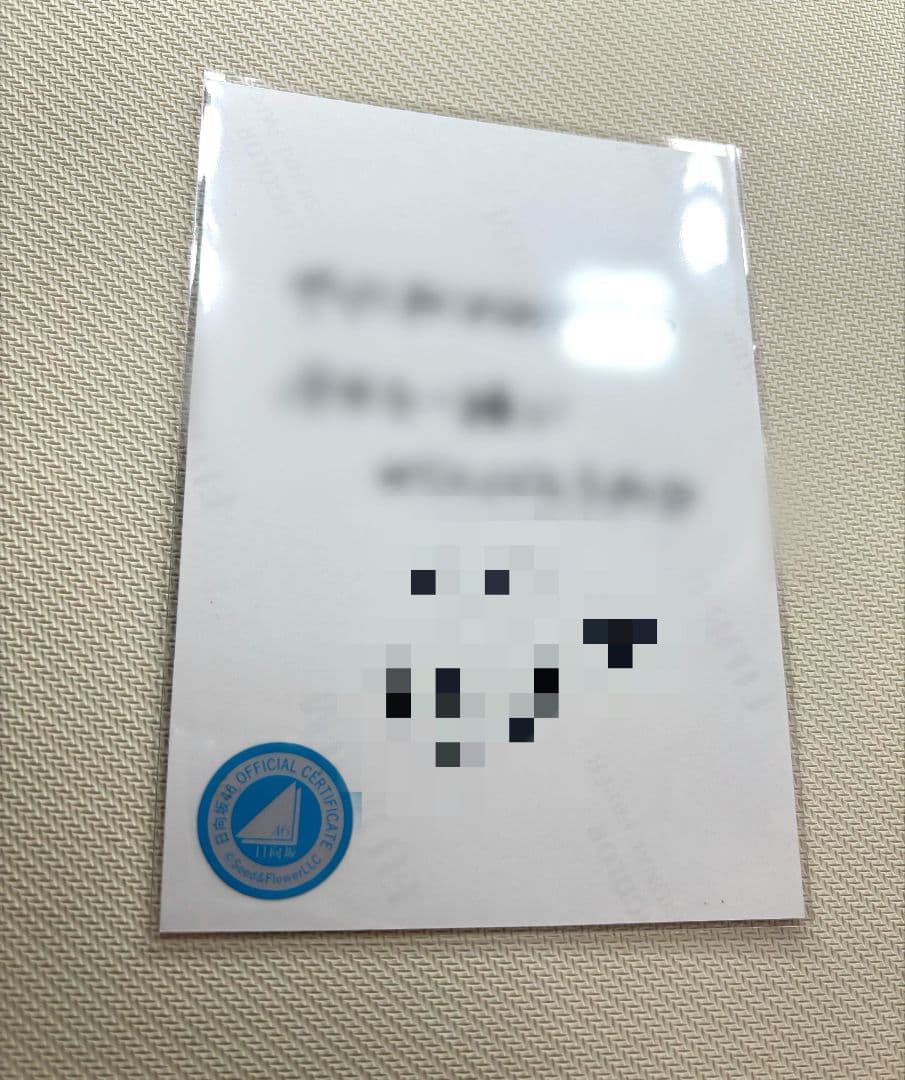 日向坂46 片山紗希 サンタ衣装 ヨリ 生写真 直筆サイン