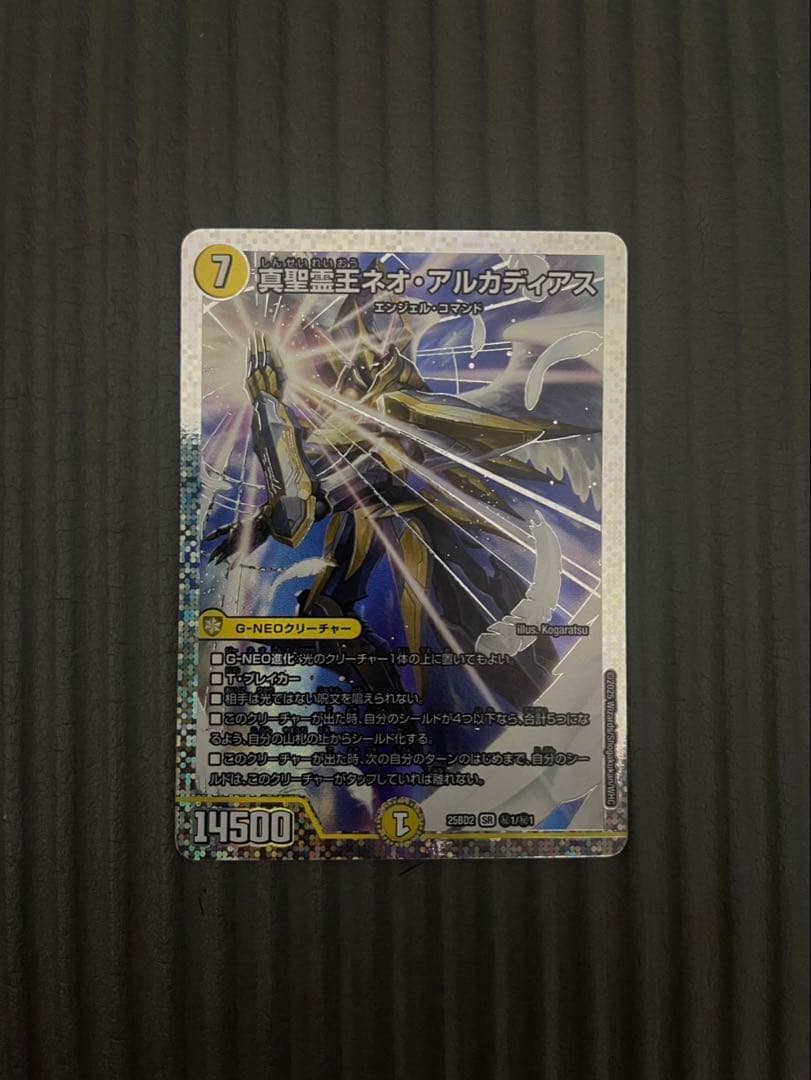 真精霊王ネオ・アルカディアス ネオアルカディアス シク シークレット