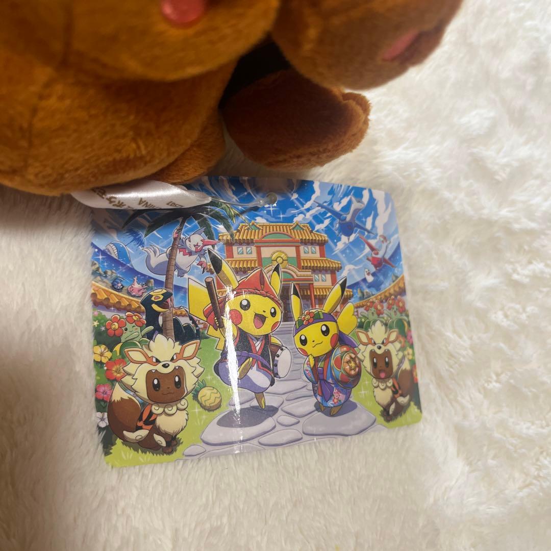 ウィンディポンチョのイーブイぬいぐるみ　沖縄限定　ポケモンセンター