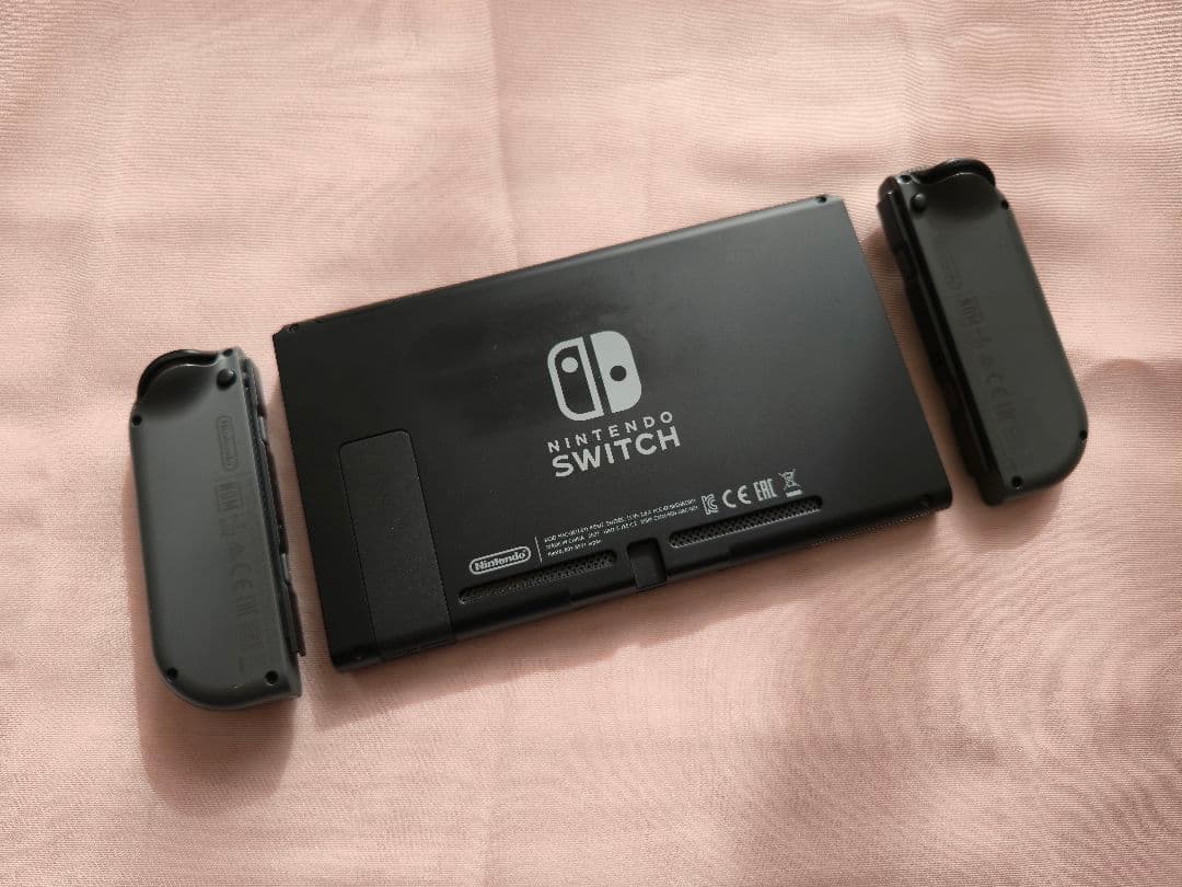 Nintendo Switch 本体 + 256GB SDカード