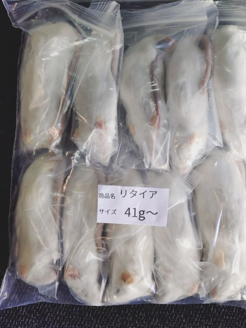 送料無料 冷凍マウスリタイア100匹の通販はau PAY マーケット - 輸入