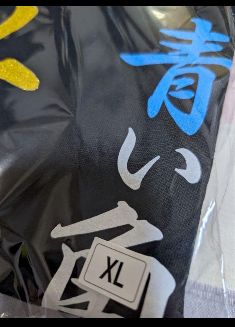 氣志團早乙女光生誕記念Tシャツ Mサイズ 焼津会場限定