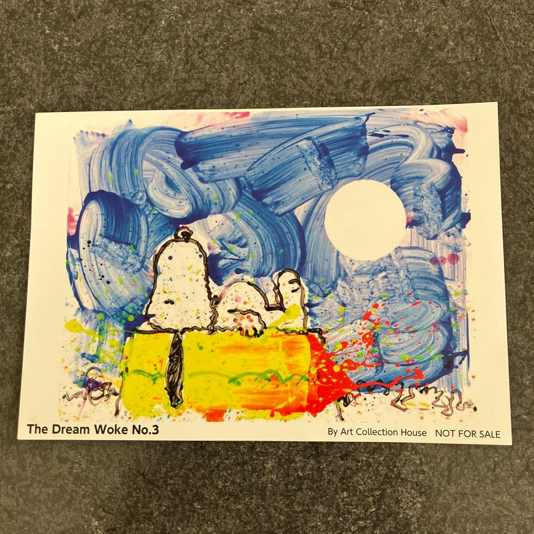 TOM EVER HART スヌーピーアートパズル