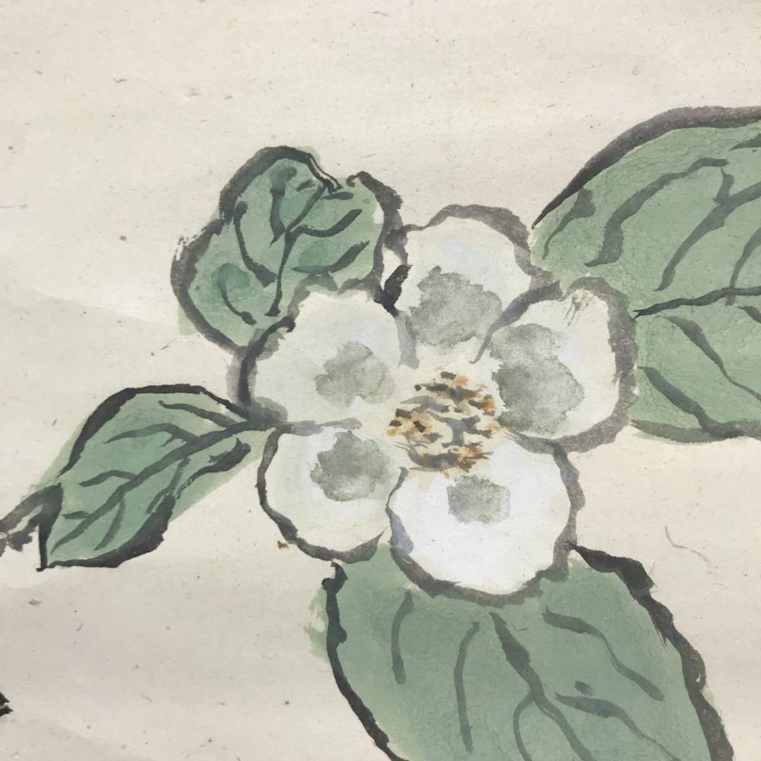 真作】武者小路実篤/花図/横物/掛軸/名家伝来/AC-143