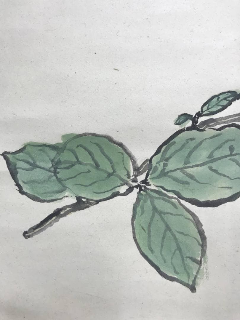 真作】武者小路実篤/花図/横物/掛軸/名家伝来/AC-143