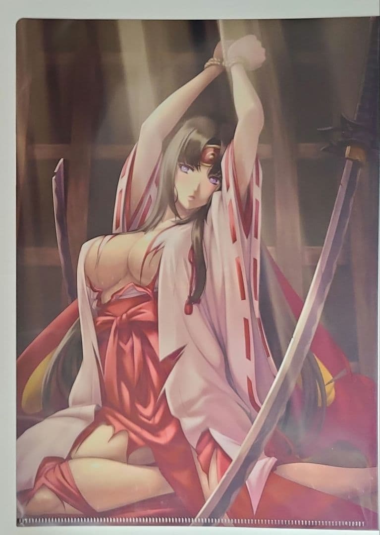 クイーンズブレイド　特典クリアファイル等9種　まとめ売り クイーンズブレイド 特典クリアファイル等9種 まとめ売り コレクション