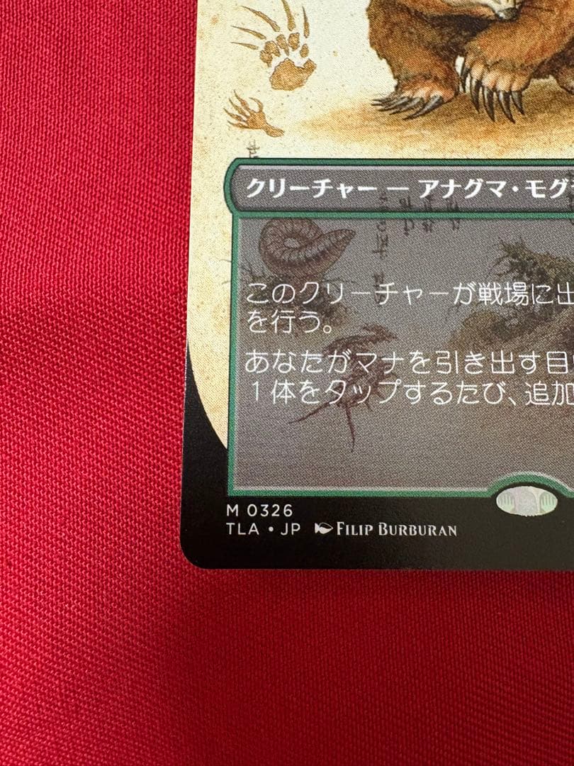 MTG アナグマモグラの仔 拡張 MTG アナグマモグラの仔/Badgermole Cub