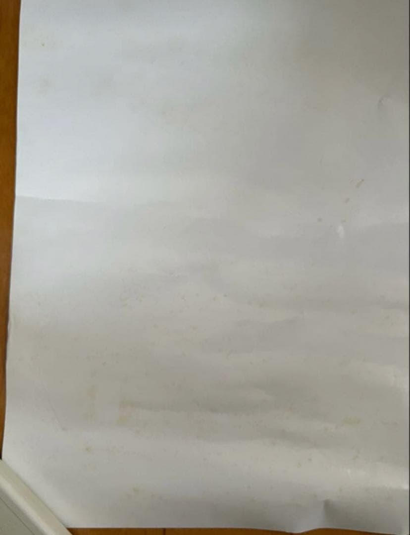 自民党 小泉進次郎議員 ポスター