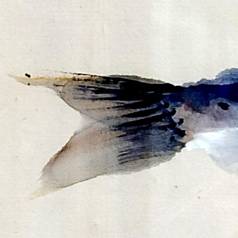 ☆上野山清貢☆ 「やまめ」 水彩画 ◇帝展特選・北海道新聞社文化賞