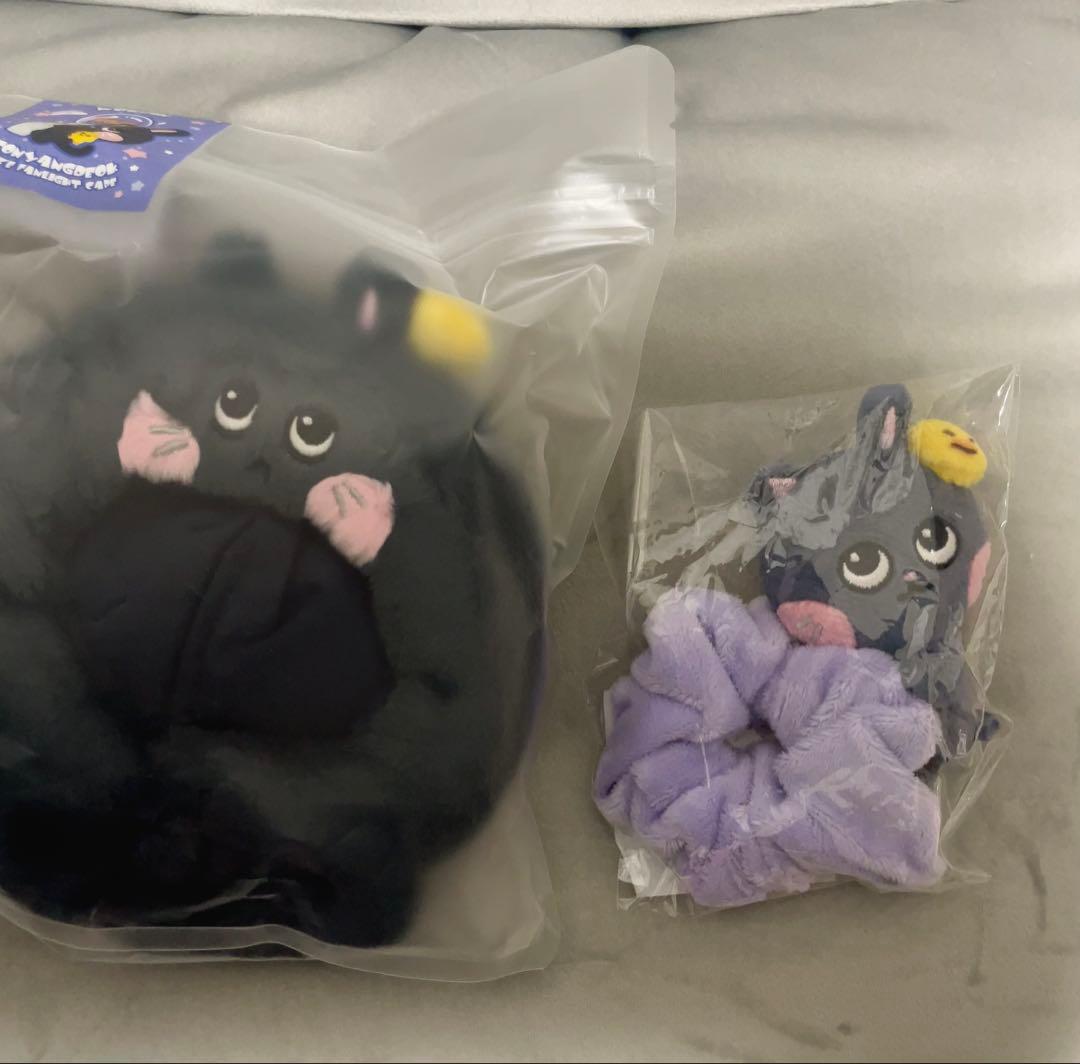 RIIZE ウォンビン トニャンドク ペンライトカバー シュシュ - メルカリ