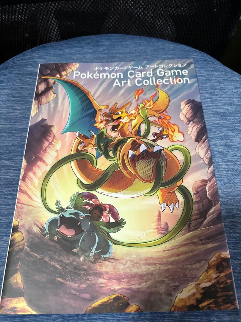 ポケモンカードゲーム アートコレクション　BOOK