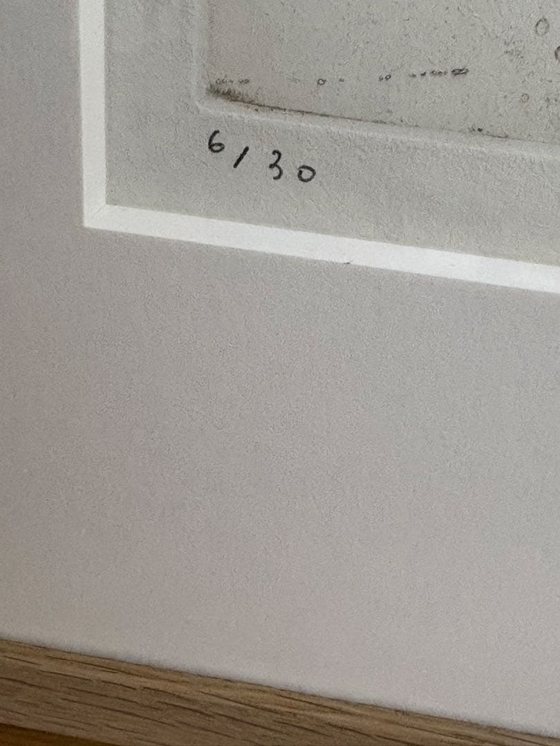 安井寿磨子 【印象】手彩色　銅版画　2017年