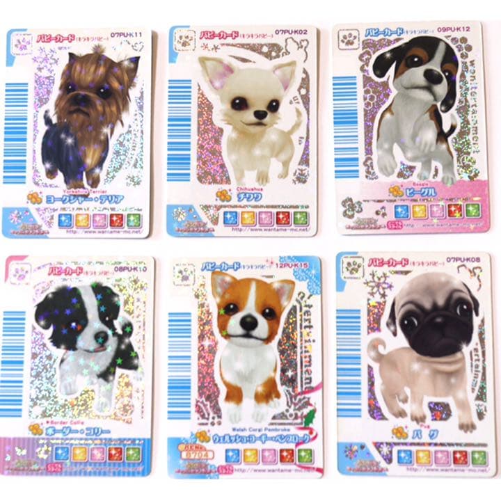 ワンタメ カード パピーカード - メルカリ