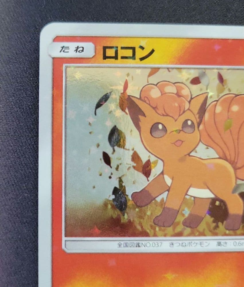 Rokon's Crystal Season スペシャルBOX 開封品 ポケカ