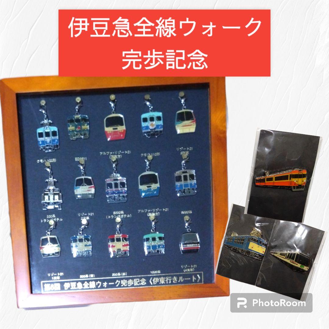 伊豆急全線ウォーク 完歩記念品セット ピンバッジ ファスナートップ