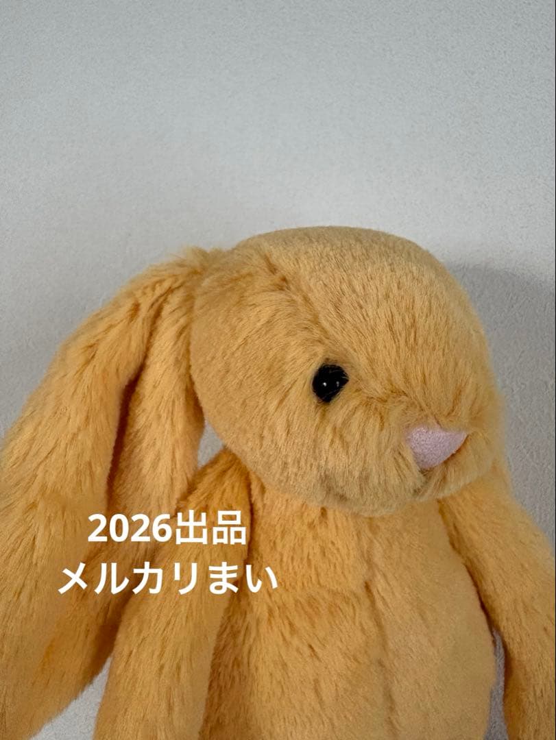  Little Bashful Sunshine Bunny 兎