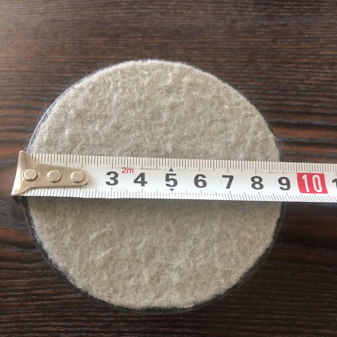 蜘蛛 蠍 タランチュラ スコーピオン 置物 剥製 標本 - メルカリ