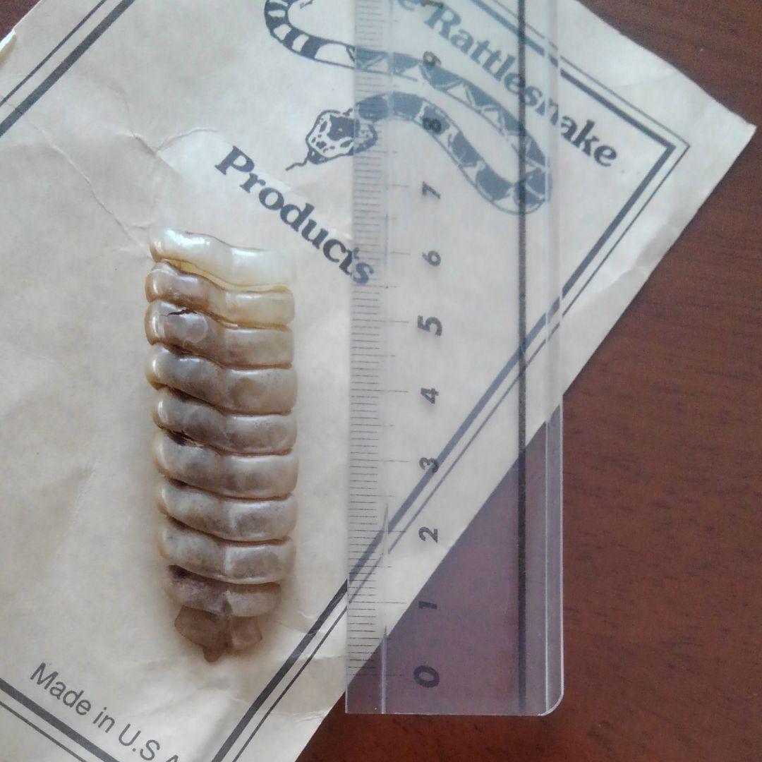 ガラガラ蛇の尻尾 ピン