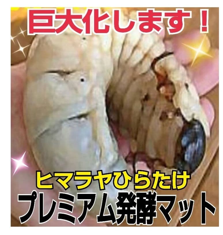 極上☆ギネス狙いに！プレミアム3次発酵カブトムシマット【6袋】特殊